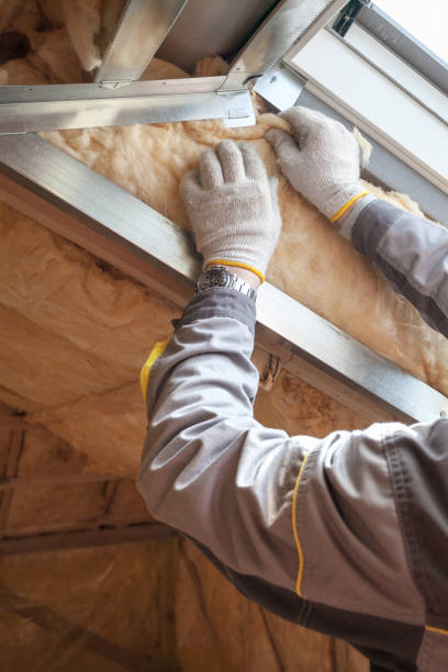 Best Commercial Insulation in Sebastian, FL