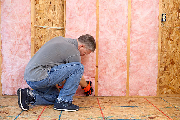 Types of Insulation We Offer in Sebastian, FL